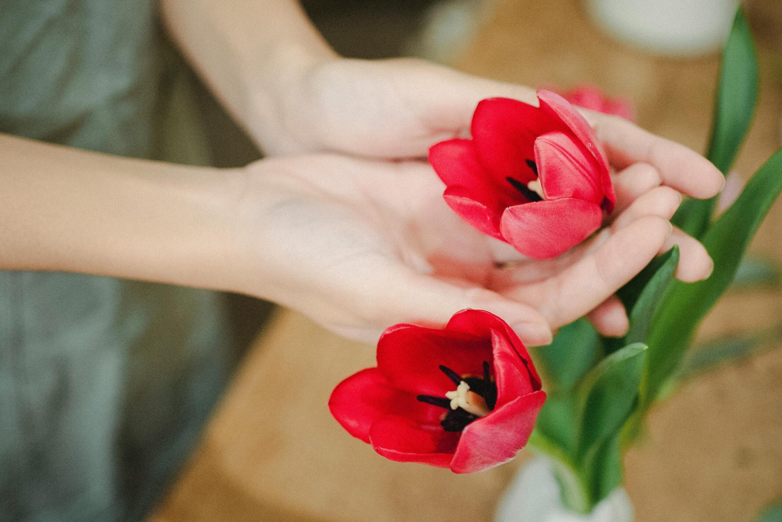 A close-up shot of hands carefully arranging organic flowers into a vase