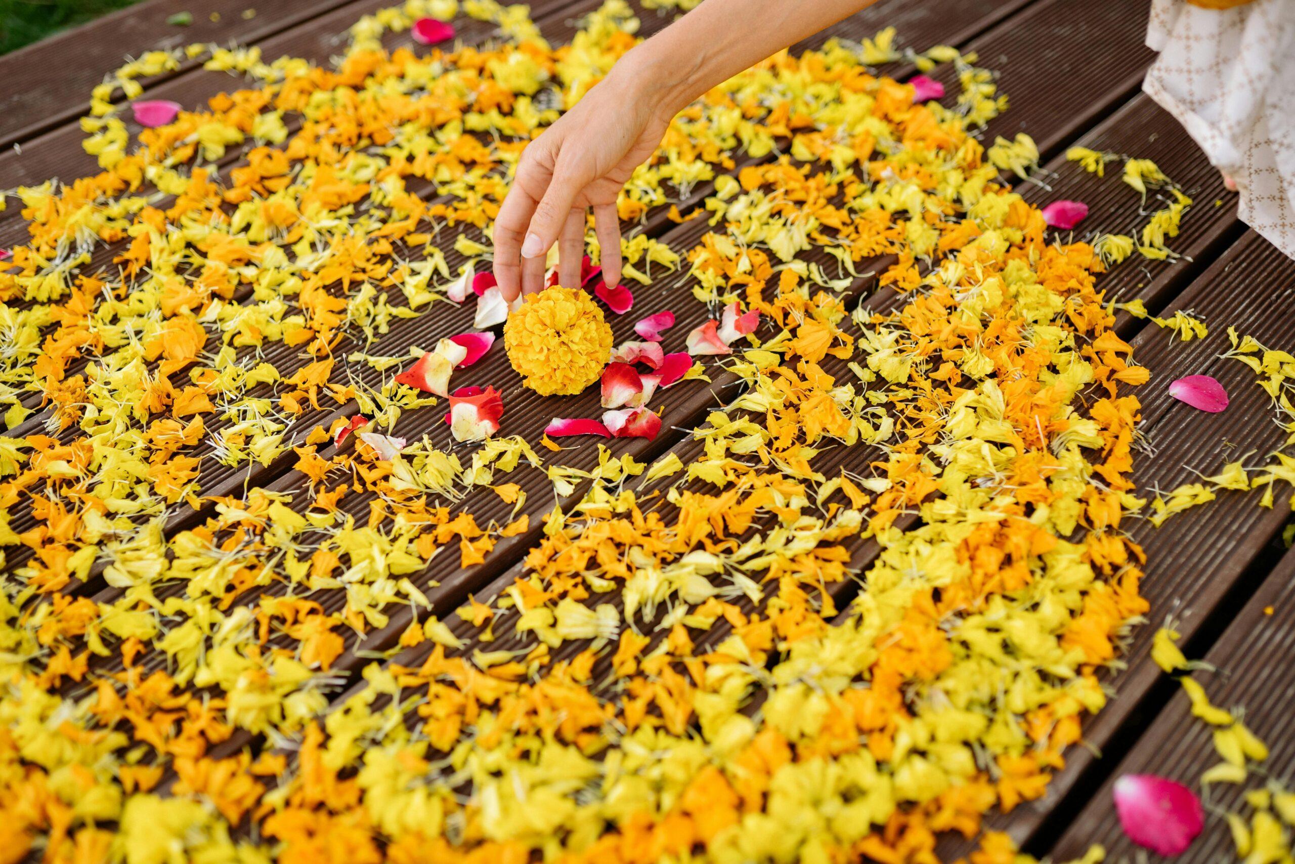 Dried marigold petals arranged neatly on a wooden surface