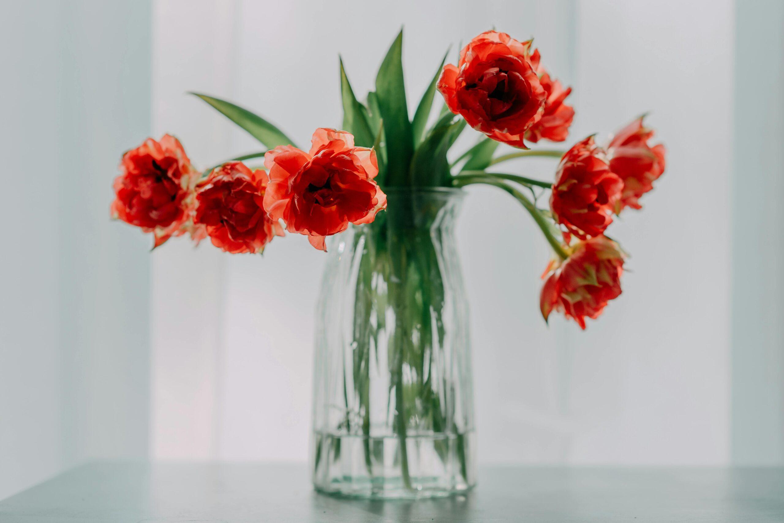 Fresh Cut Flowers
