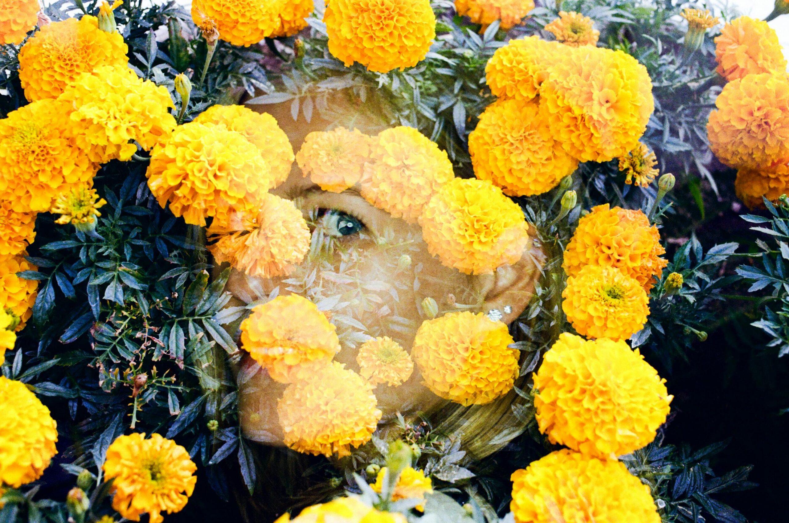 Step-by-step image of making a face mask using marigold petals and honey.