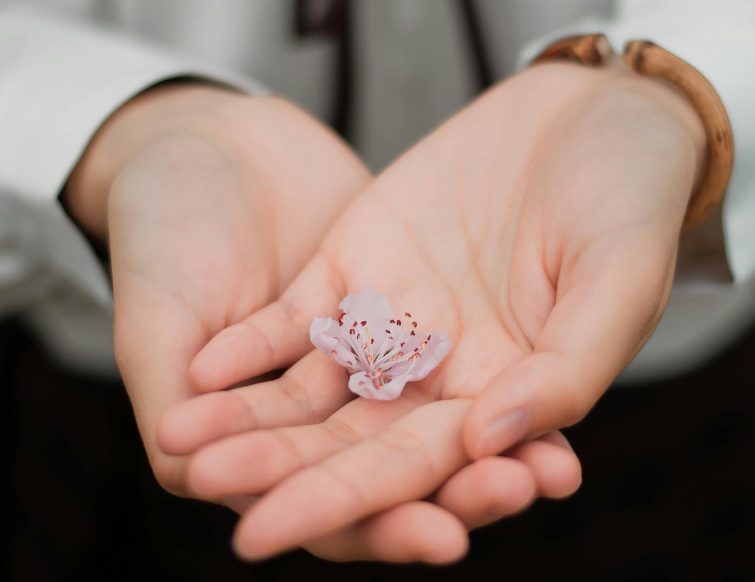 A close-up photo of hands holding a glass container filled with homemade floral serum