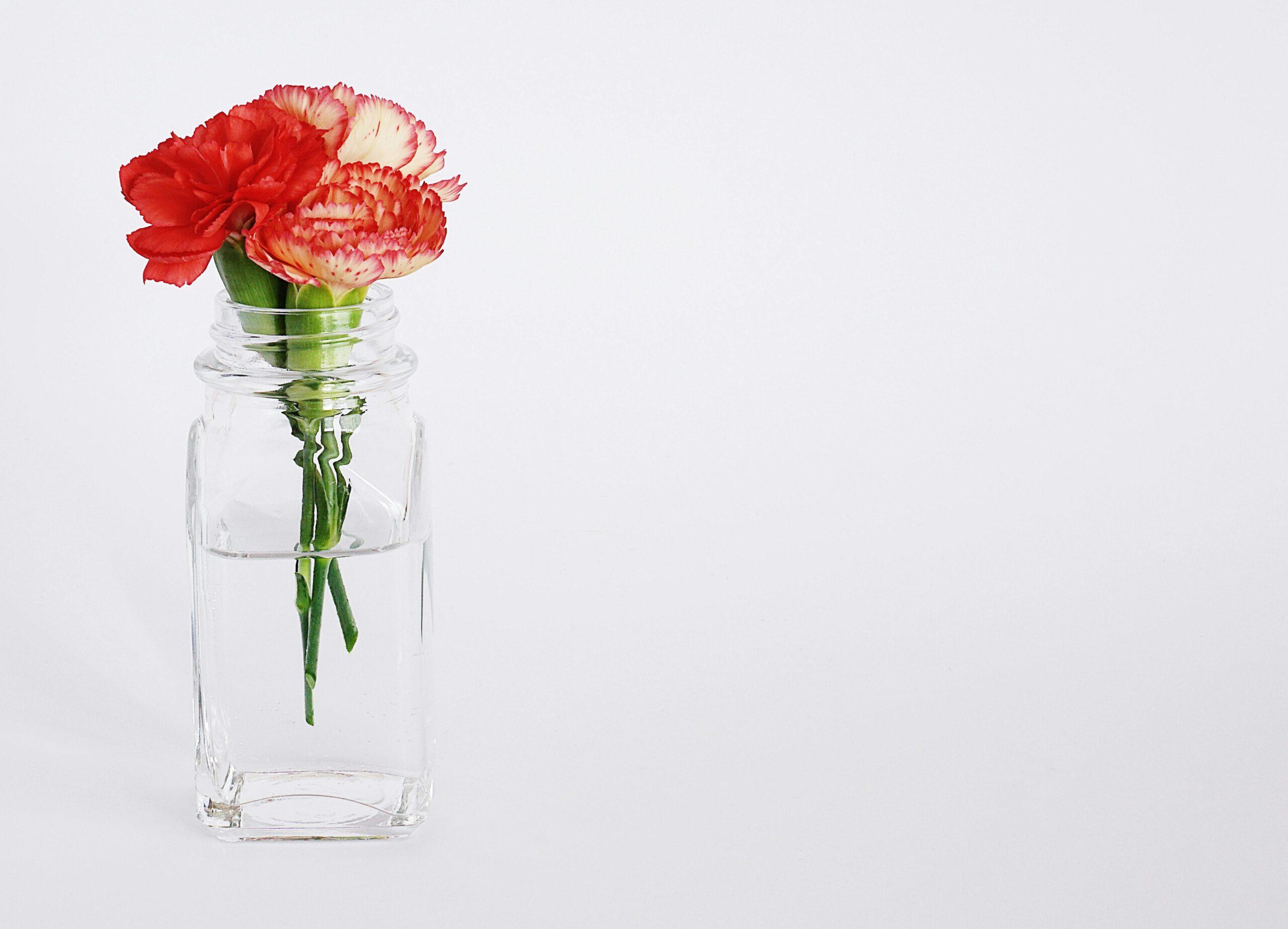 A glass jar filled with pink petal-infused water sitting next to fresh flowers