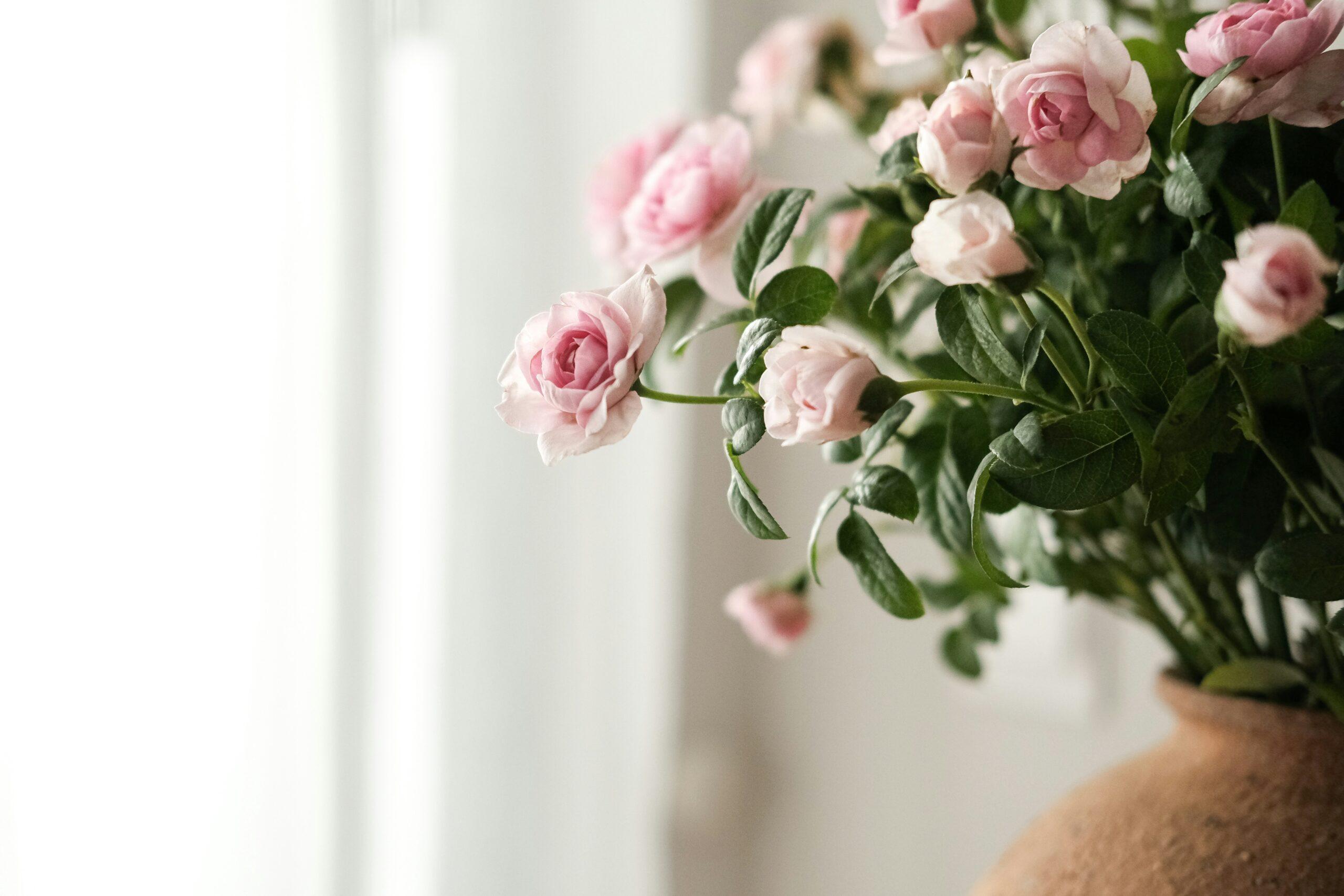 A woman smiling happily while holding a vase filled with pink roses