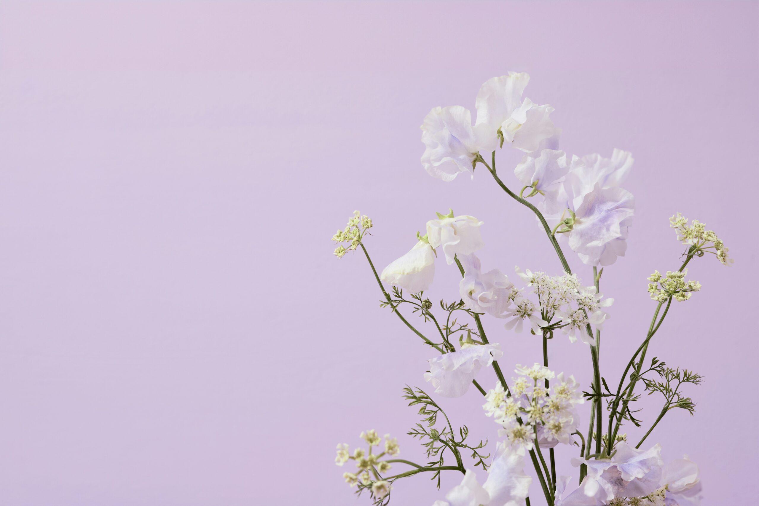 Closeup of lavender and rose petals used in beauty products
