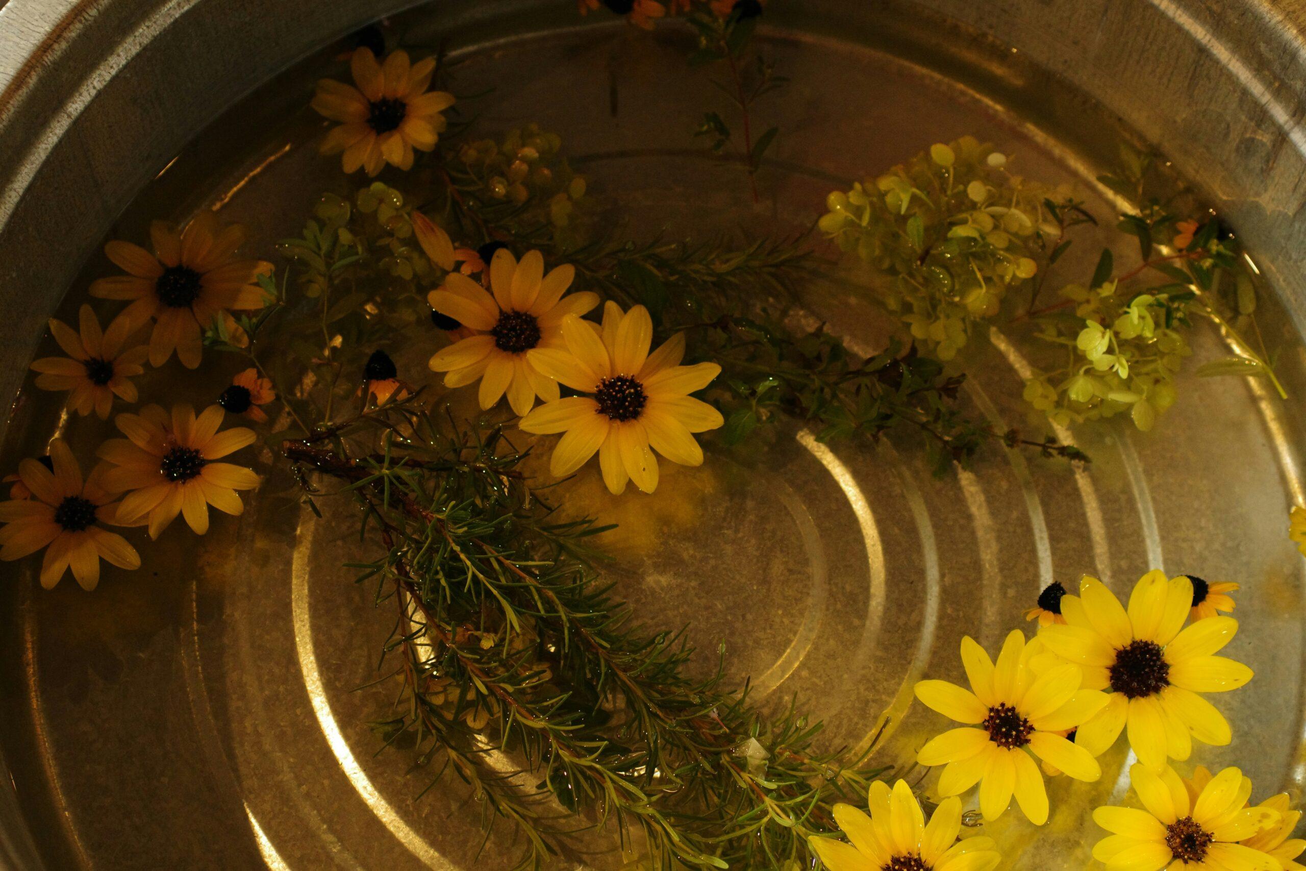 Dried wildflower petals scattered on a wooden table next to jars of infused oil