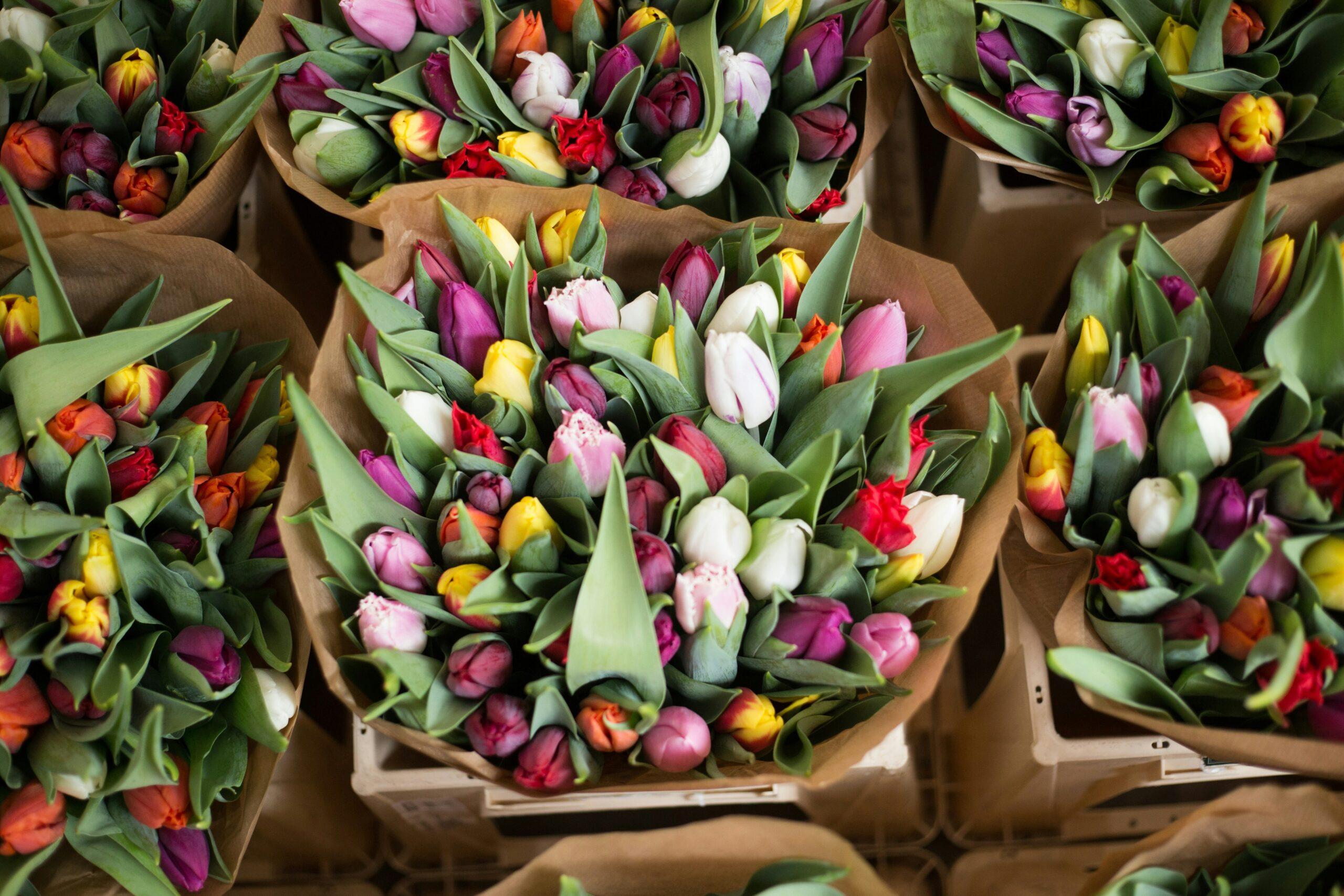 A person holding a glass jar filled with tulip extract beside fresh tulip bouquet.