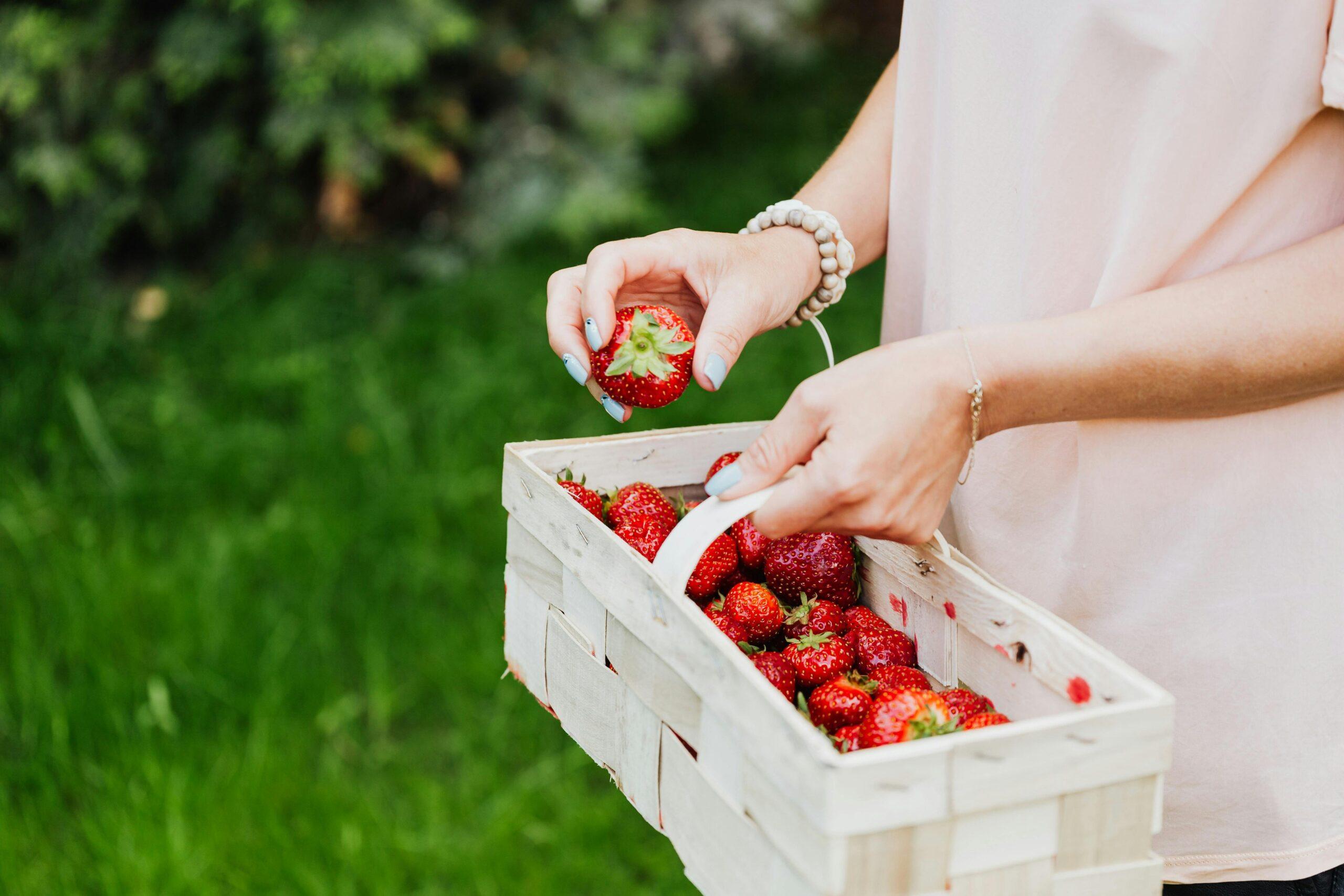 Handpicked Selections