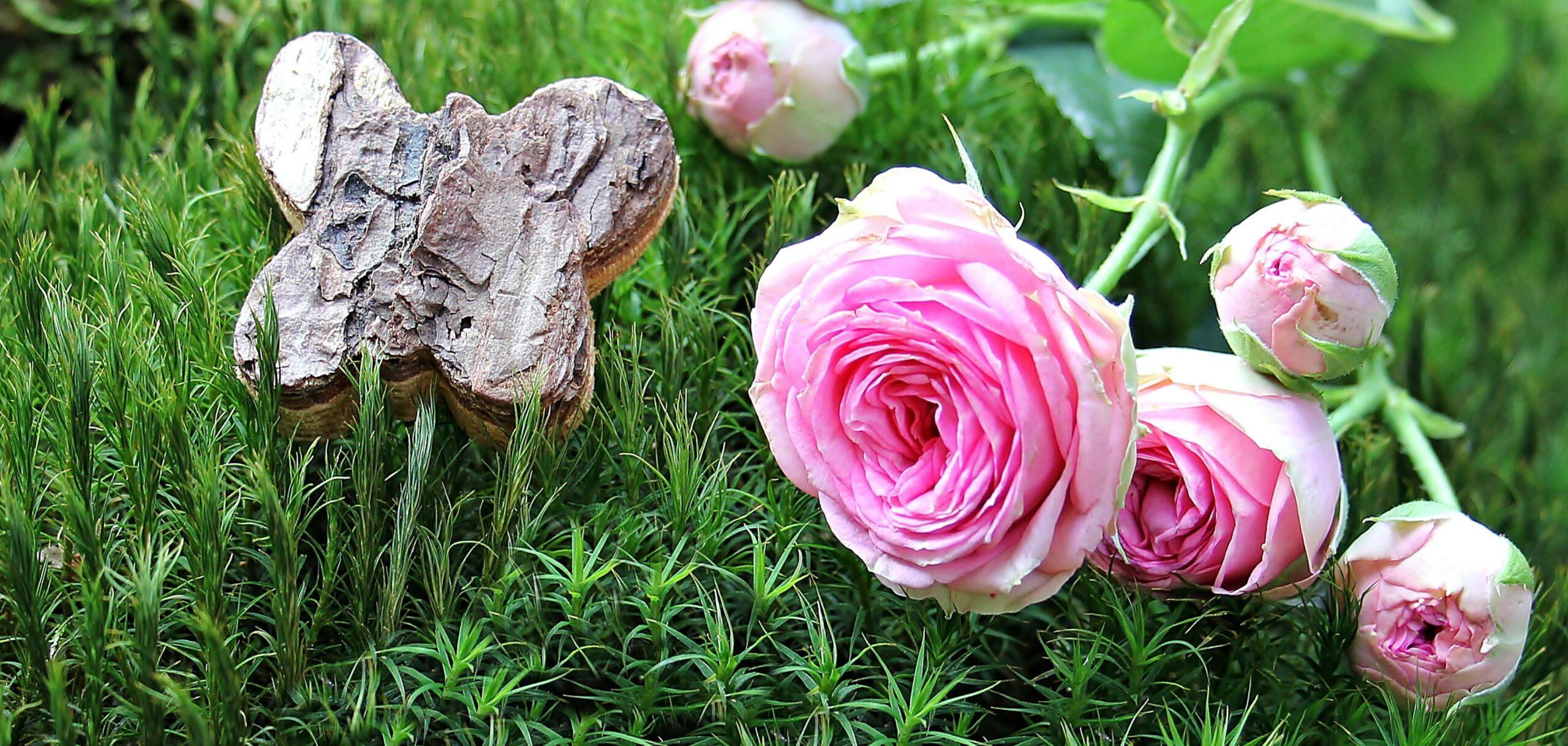 Organic flowers growing naturally in a pesticide-free garden