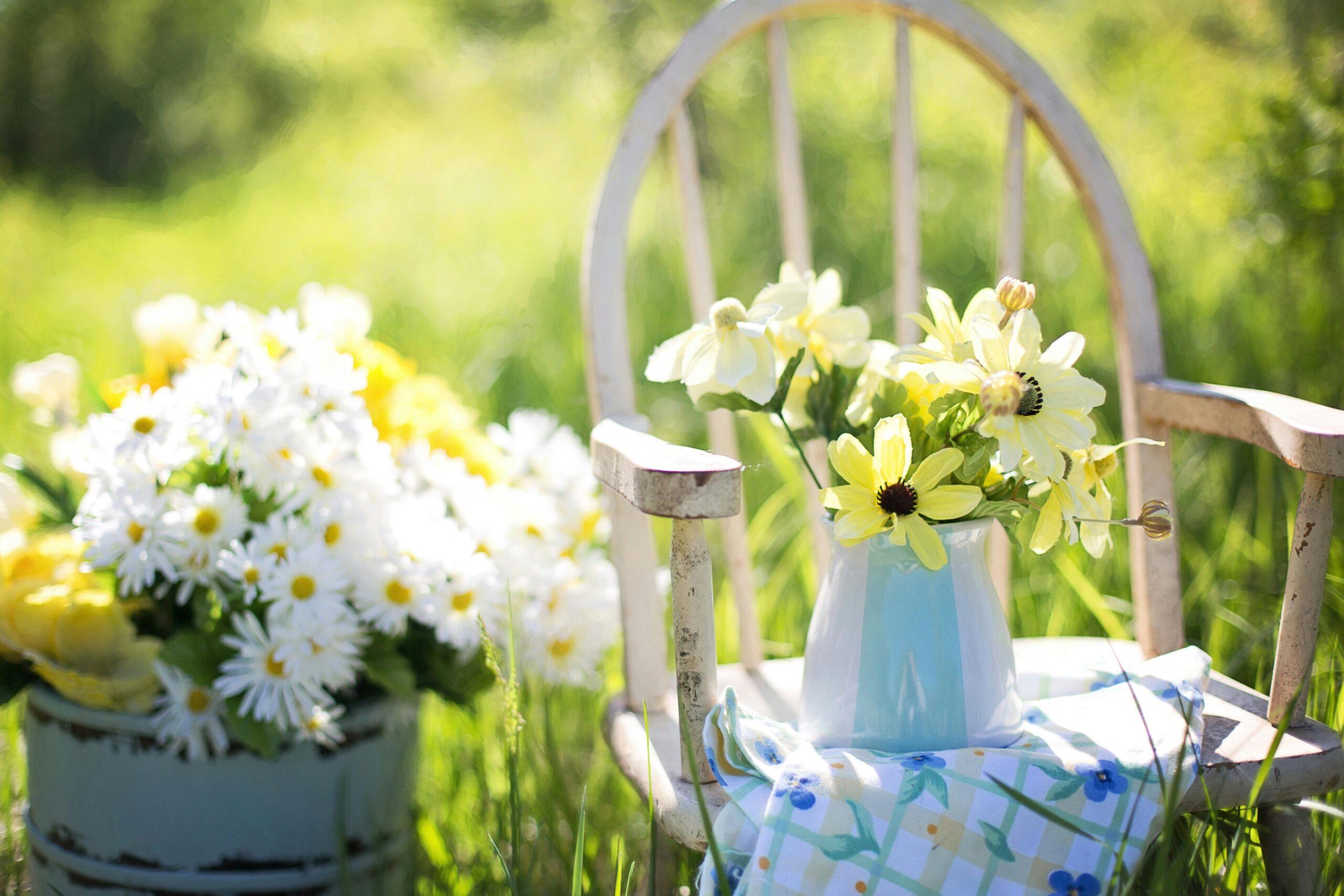 summer flowers