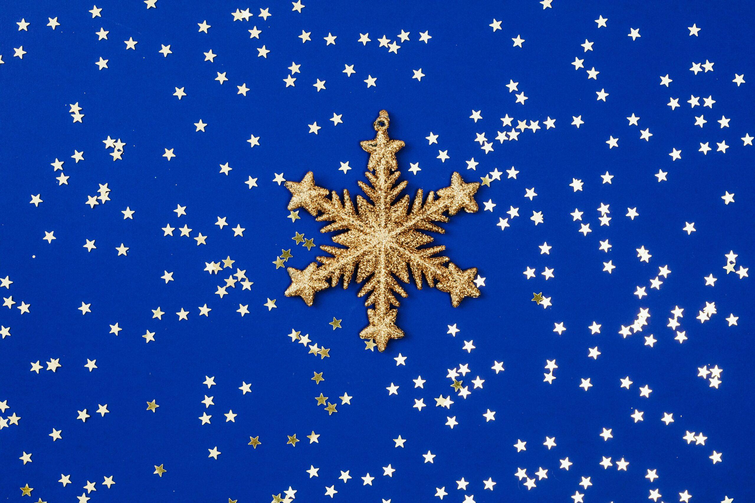 Winter Elegance