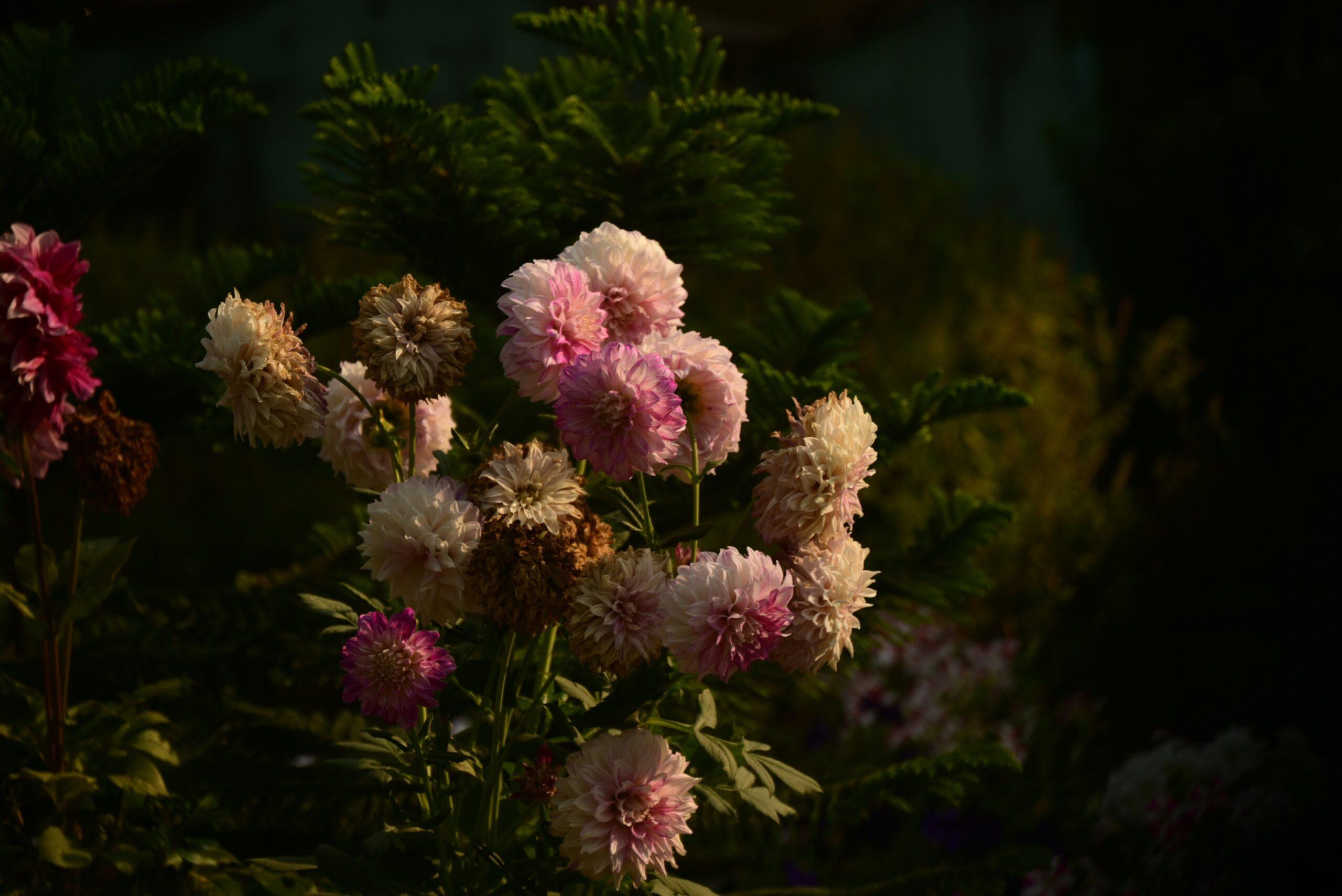 Beautifully curated expert-level floral design featuring organic blooms
