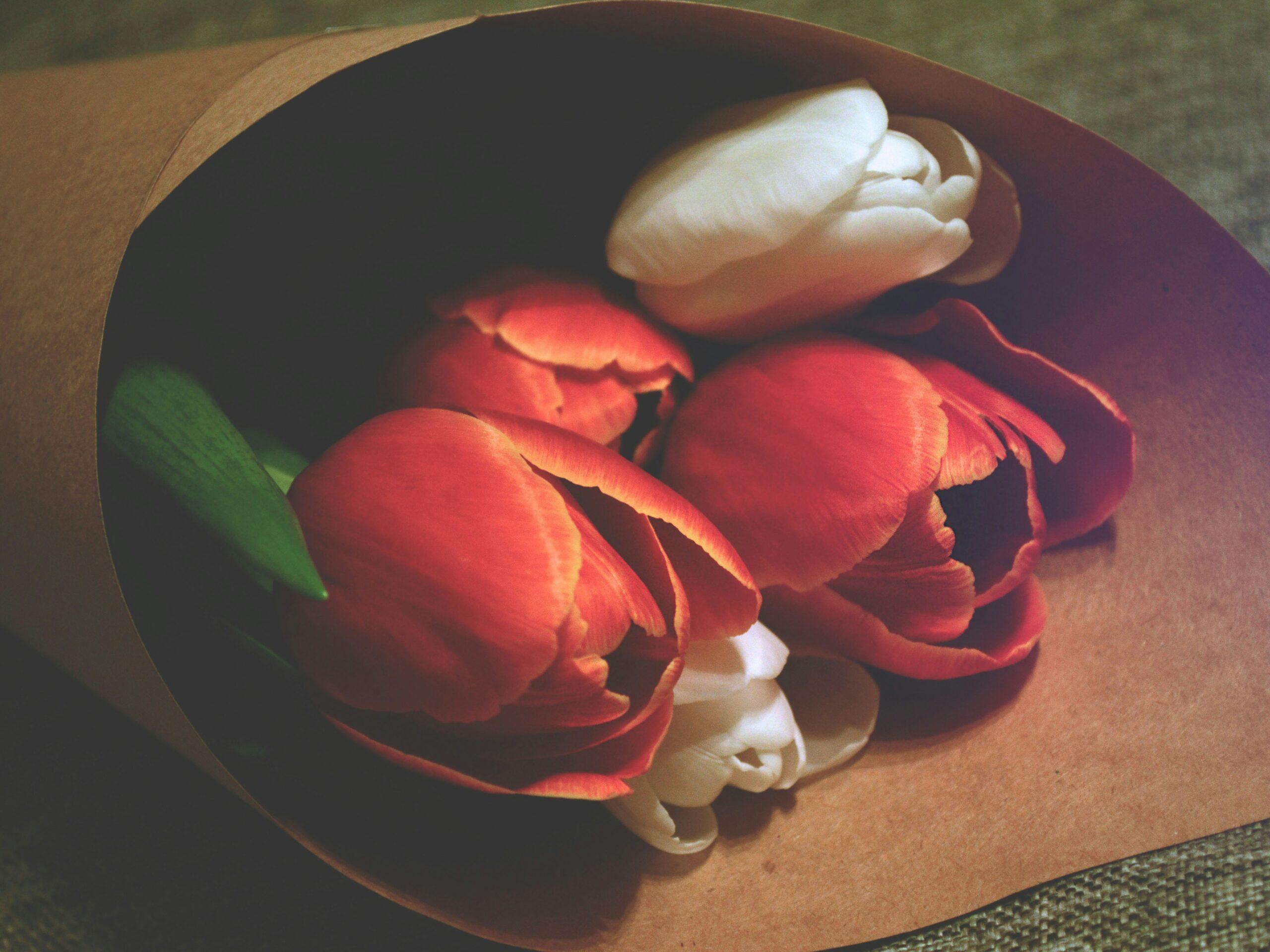 Close-up of red roses used in DIY skincare recipes