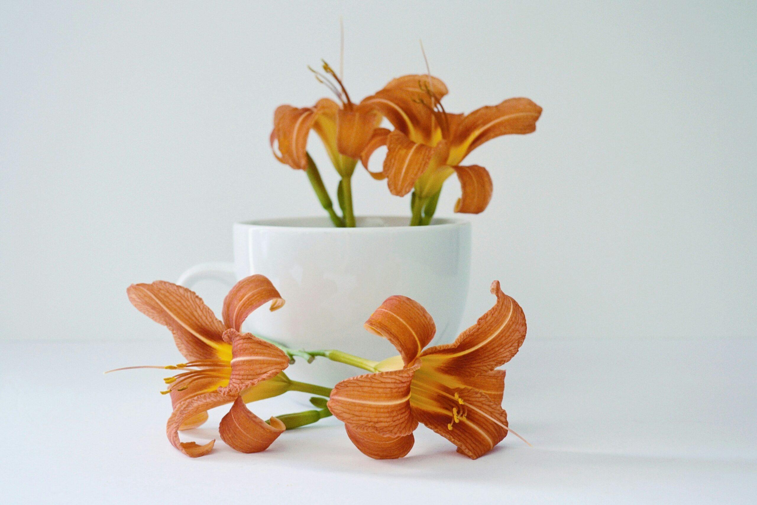 Organic flowers wrapped in eco-friendly brown paper and tied with a bow made from hemp twine.