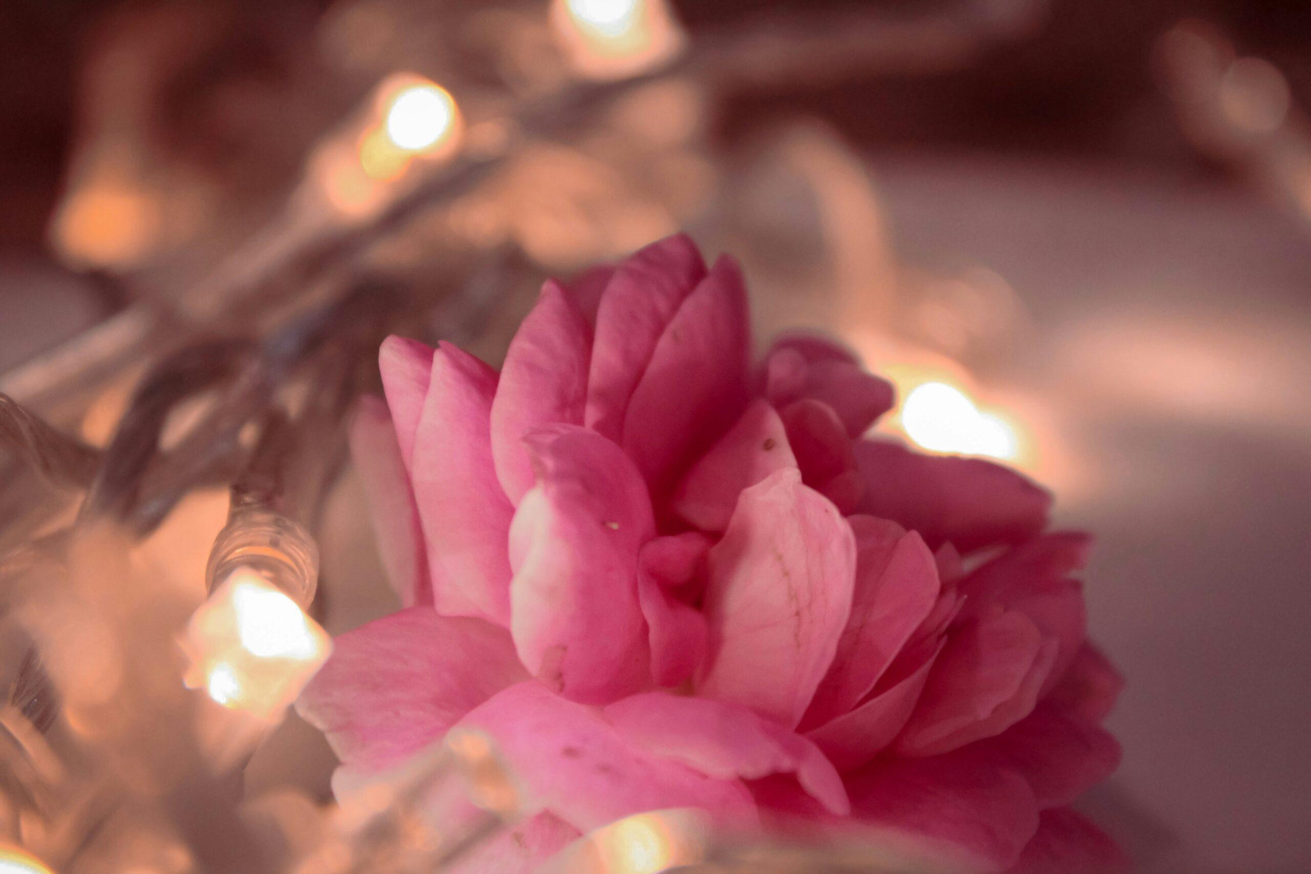 Side-by-side arrangement of an organic flower bouquet and natural skincare products like serums and lotions.