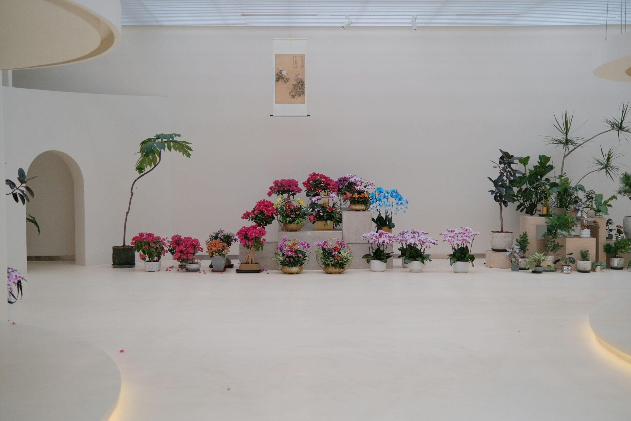 Spring Blooms: Harnessing the Power of Organic Flowers for Your Beauty & Skincare Routine
