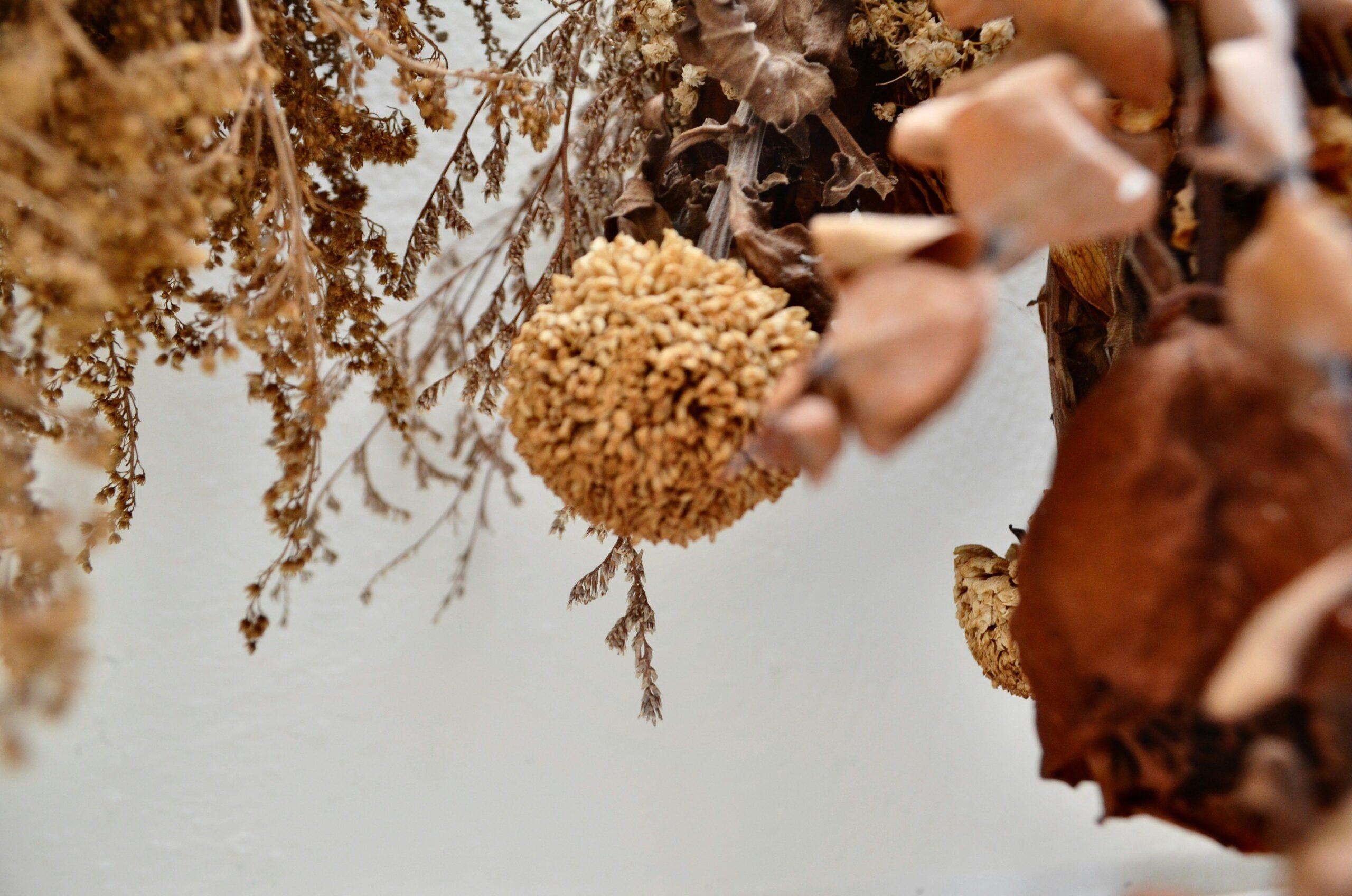The Ultimate Guide to Crafting a Rustic Bouquet for Organic Beauty Enthusiasts