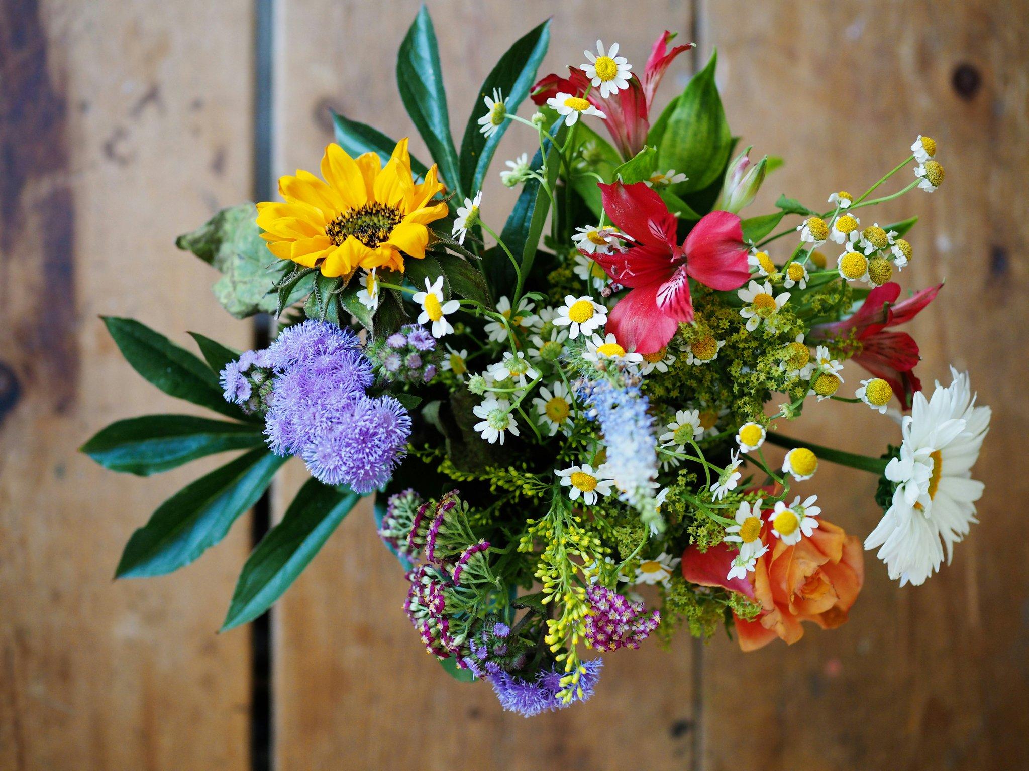 A bouquet of vibrant organic roses used in skincare formulations