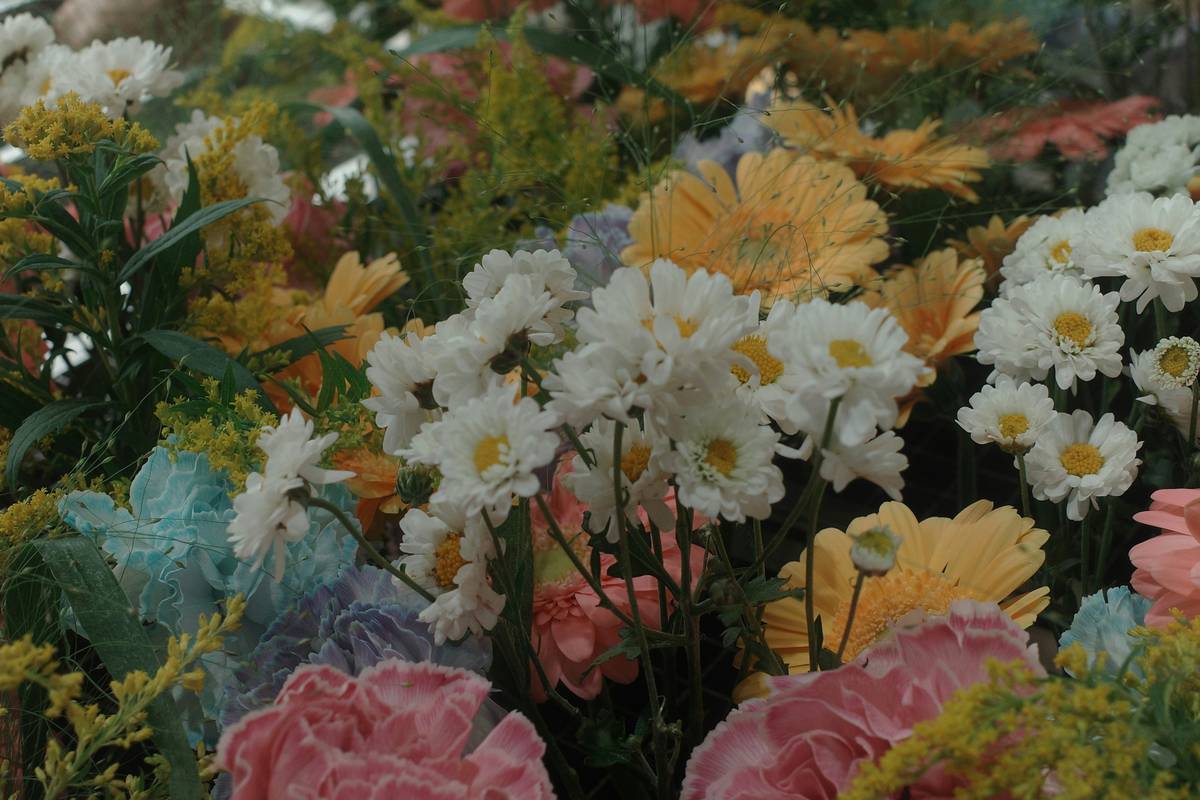 A colorful arrangement of organic summer flowers including roses, chamomile, and calendula.