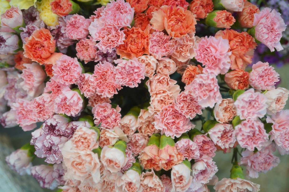 A woman applying a homemade floral face mask made from fresh summer flowers.