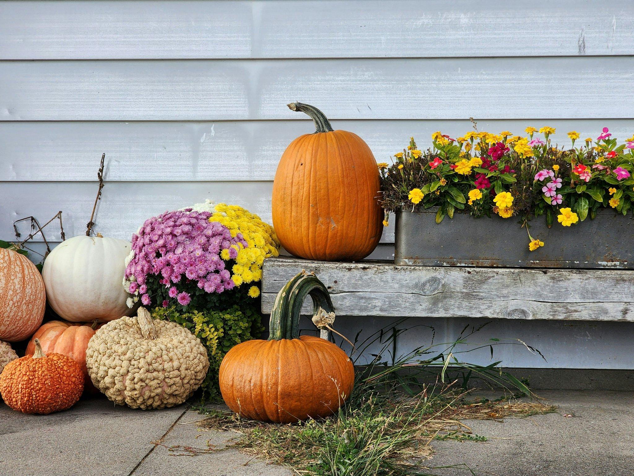 A wooden dining table decorated with an arrangement of orange dahlias, sunflowers, and eucalyptus leaves