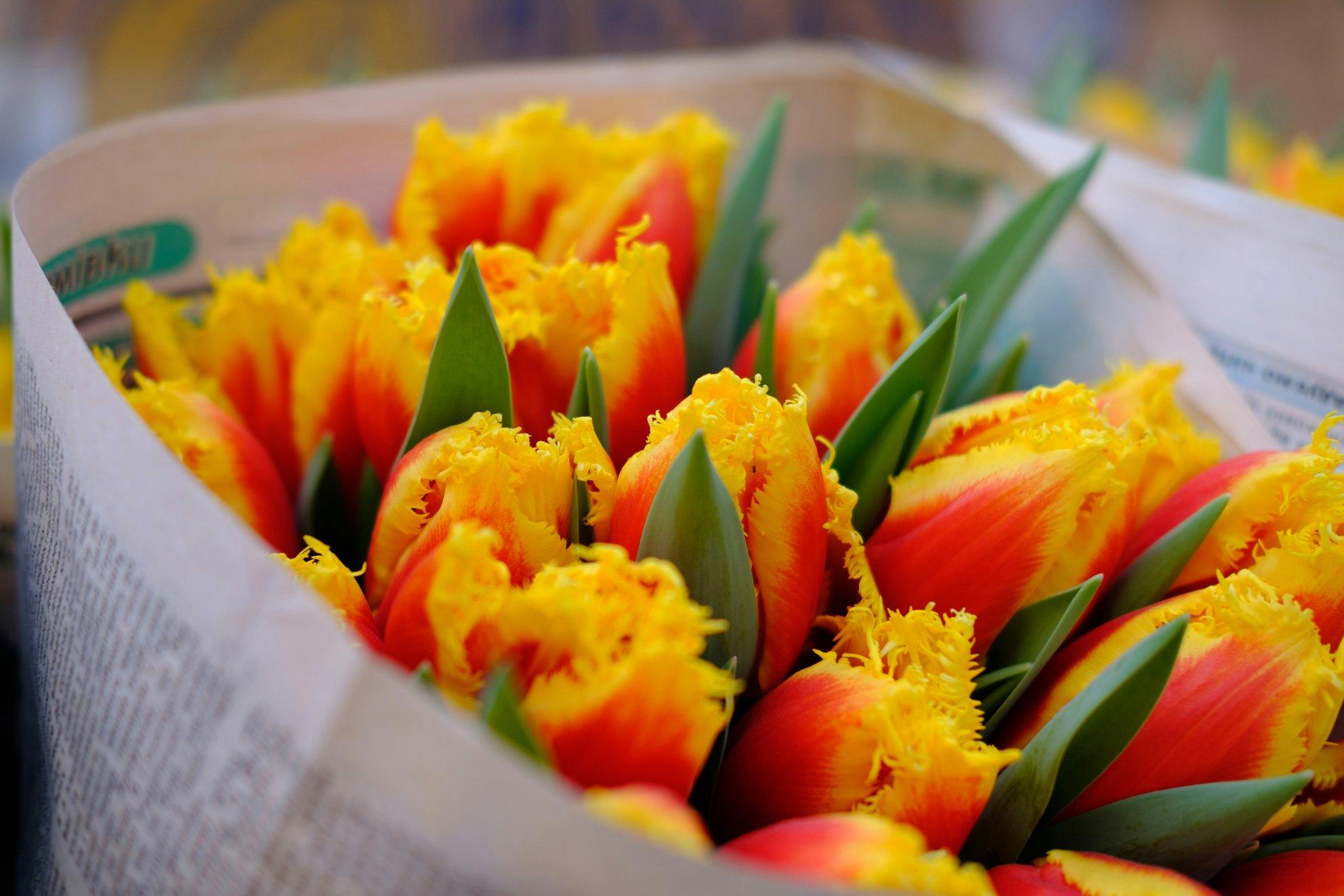Beautiful bouquet of organic Mother's Day flowers with vibrant colors