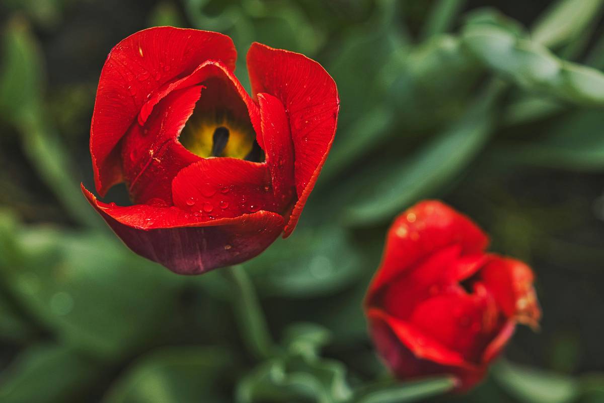 Brightly colored organic flowers arranged in a rustic pitcher