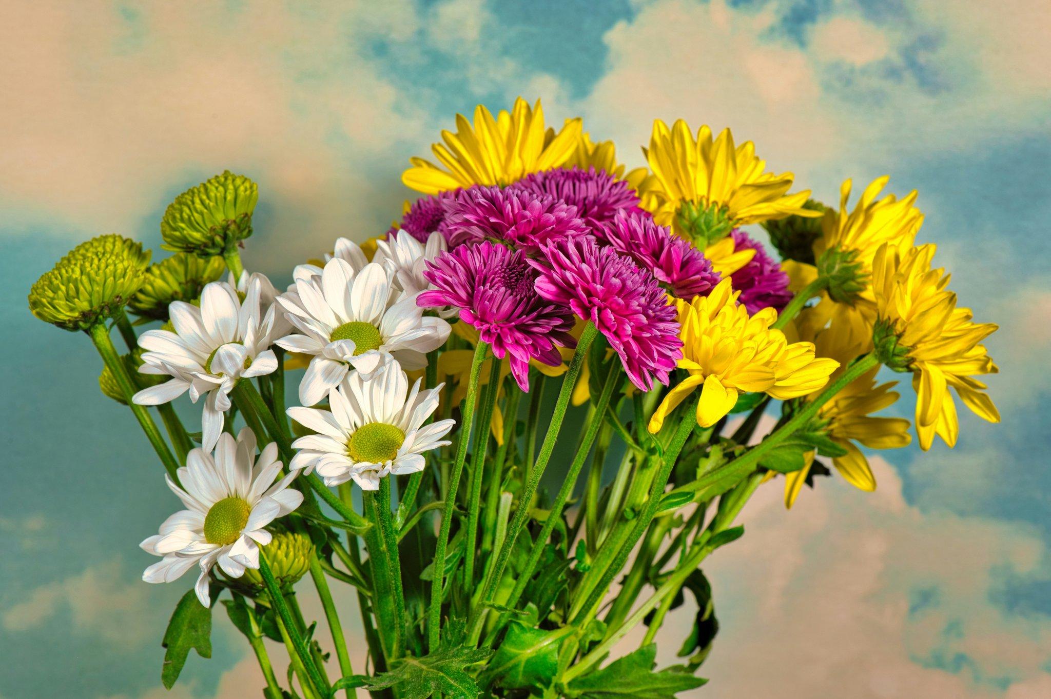 Celebrate Your Love with an Organic Anniversary Bouquet: Beauty in Every Petal