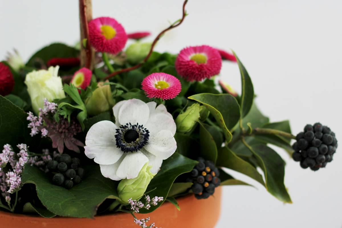 Illustration showing tools and tips for cutting and arranging flowers