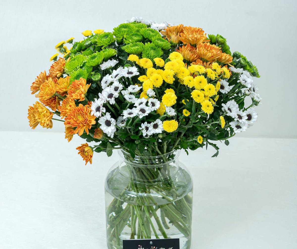 Rows of vibrant organic flowers growing without pesticides