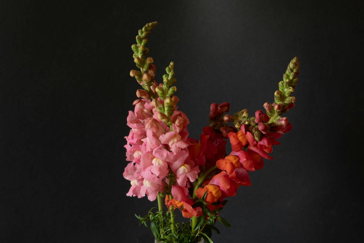 Why Eco Holiday Gifts Are the Secret to Winning Hearts This Season (And How Organic Flowers Fit In)
