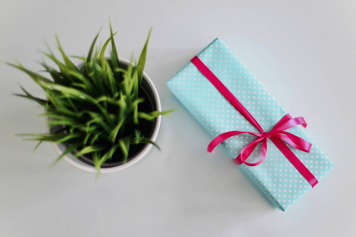Assorted natural gift sets displayed on a rustic wooden table